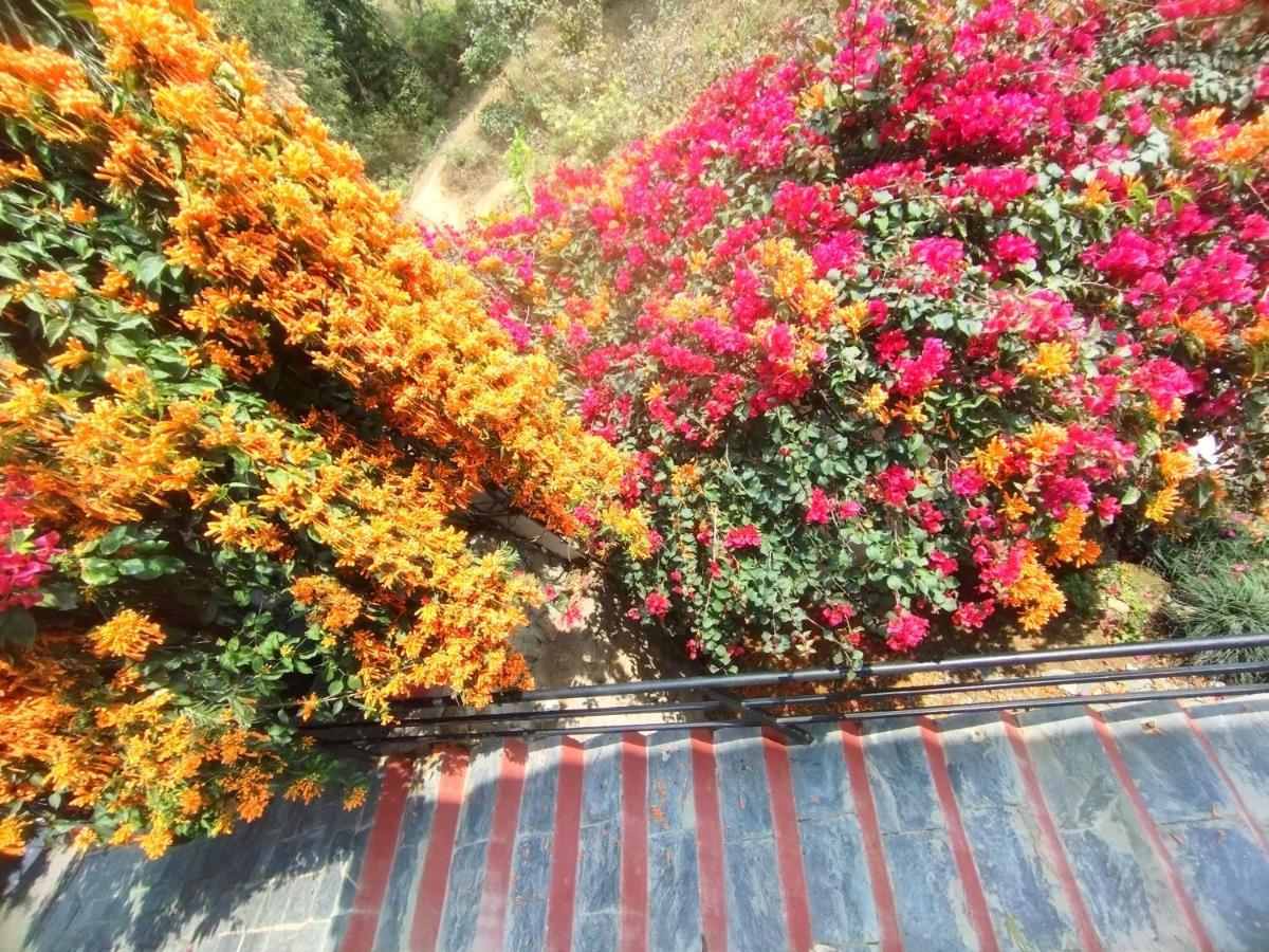 Homeland Forest Villa Ποκάρα Εξωτερικό φωτογραφία