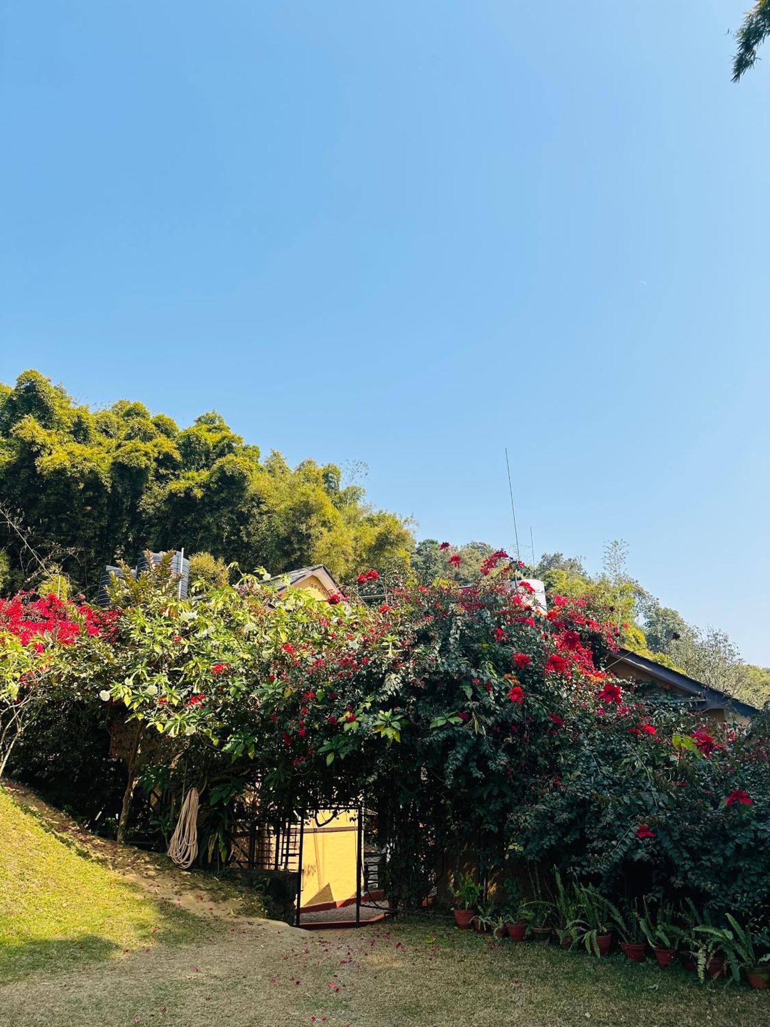 Homeland Forest Villa Ποκάρα Εξωτερικό φωτογραφία
