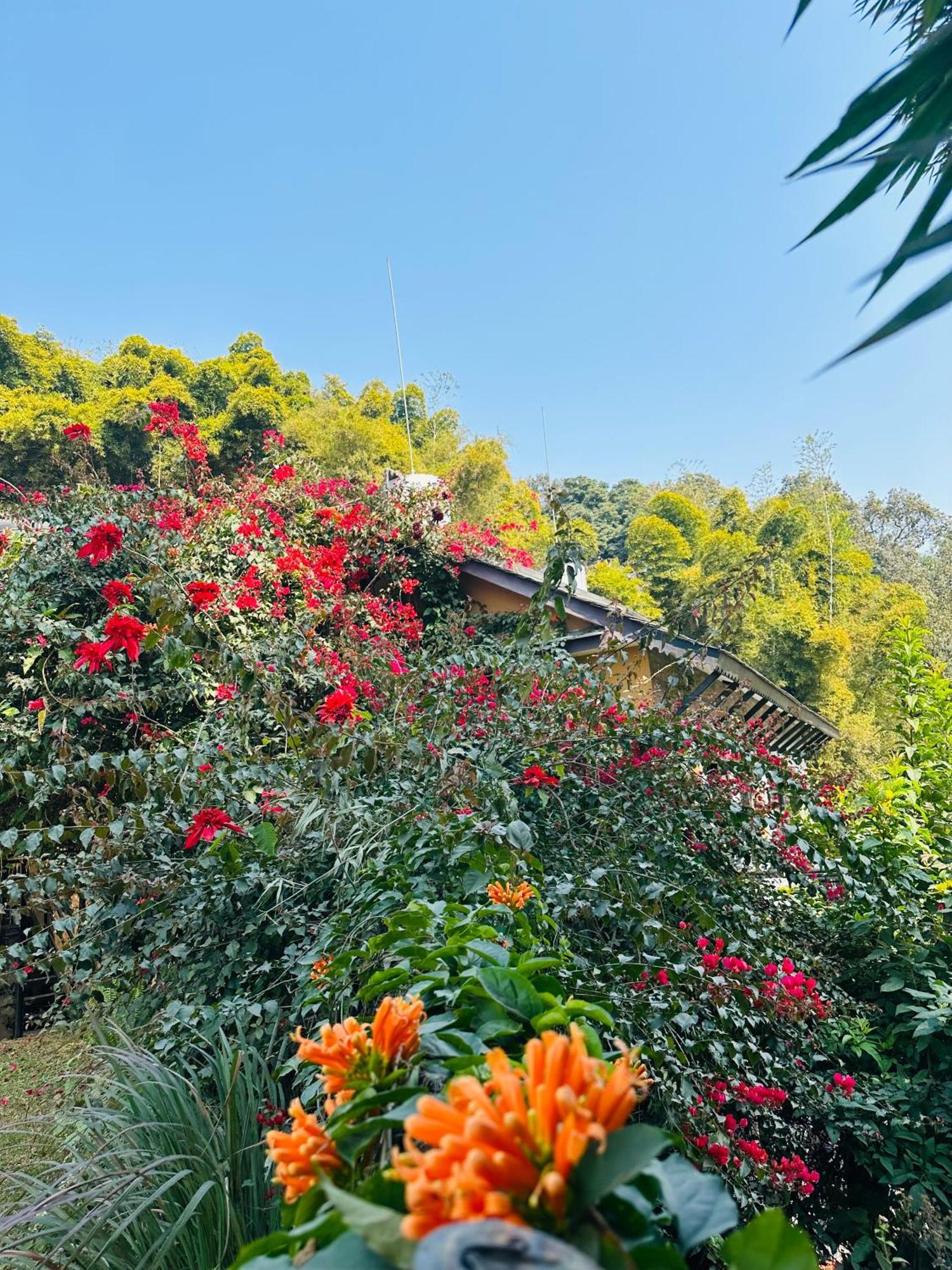 Homeland Forest Villa Ποκάρα Εξωτερικό φωτογραφία